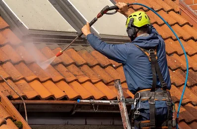 Démoussage et hydrofuge de toiture à Sainte-Blandine